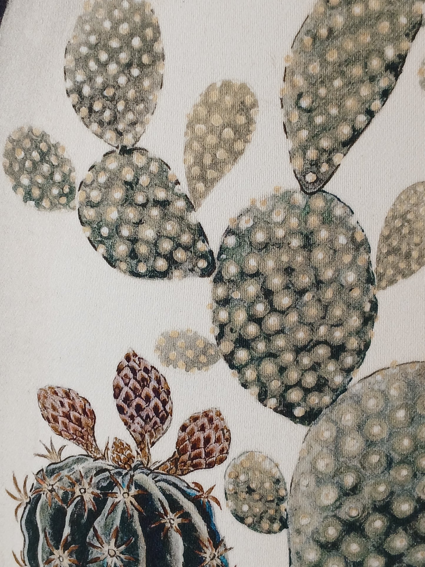 30cm Empire Lampshade in Terrariums Ink & Papaya